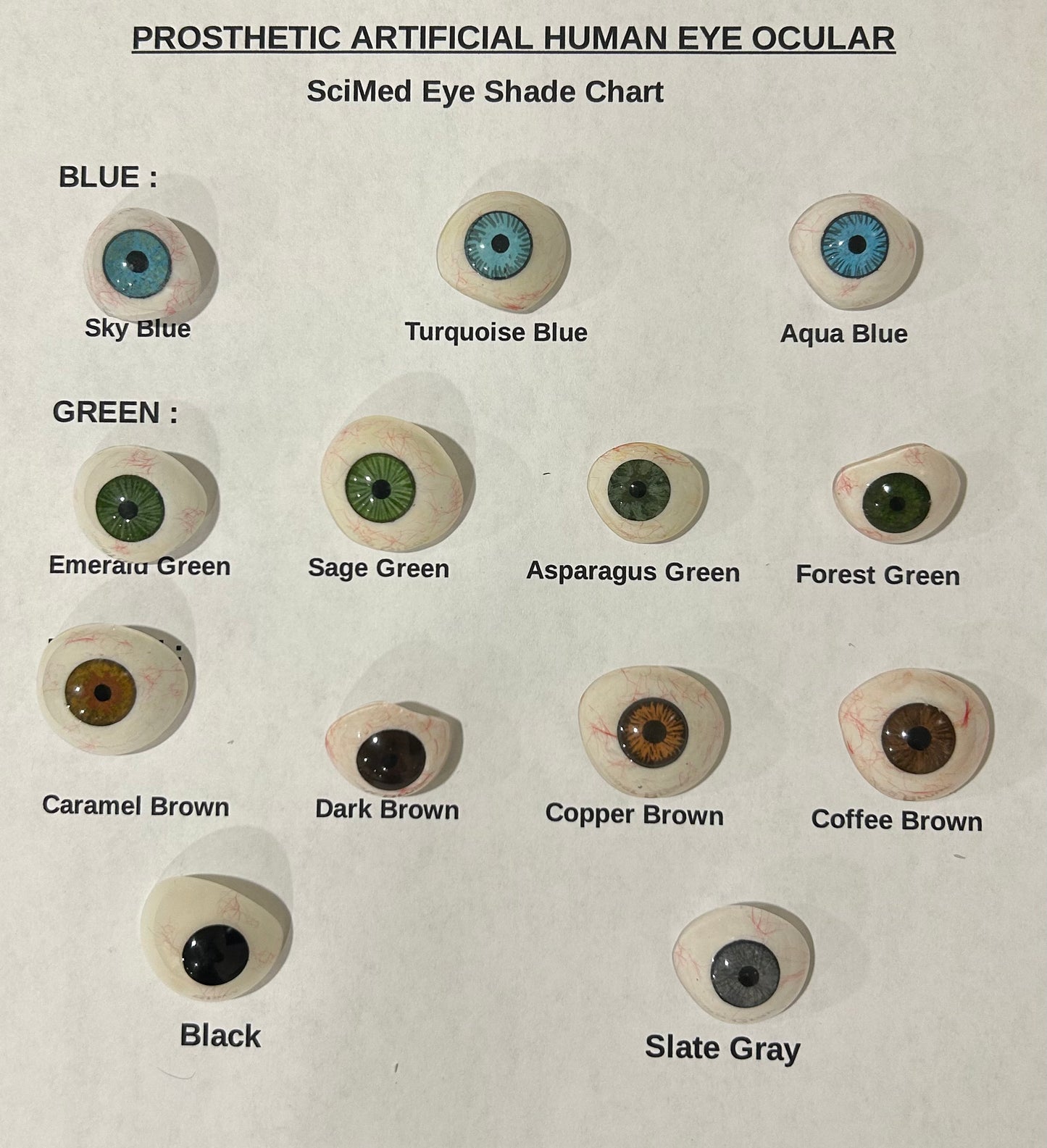 Ocular prosthetic eye — medical-grade acrylic, 13 colors, 6 sizes (18–28mm) | SciMed