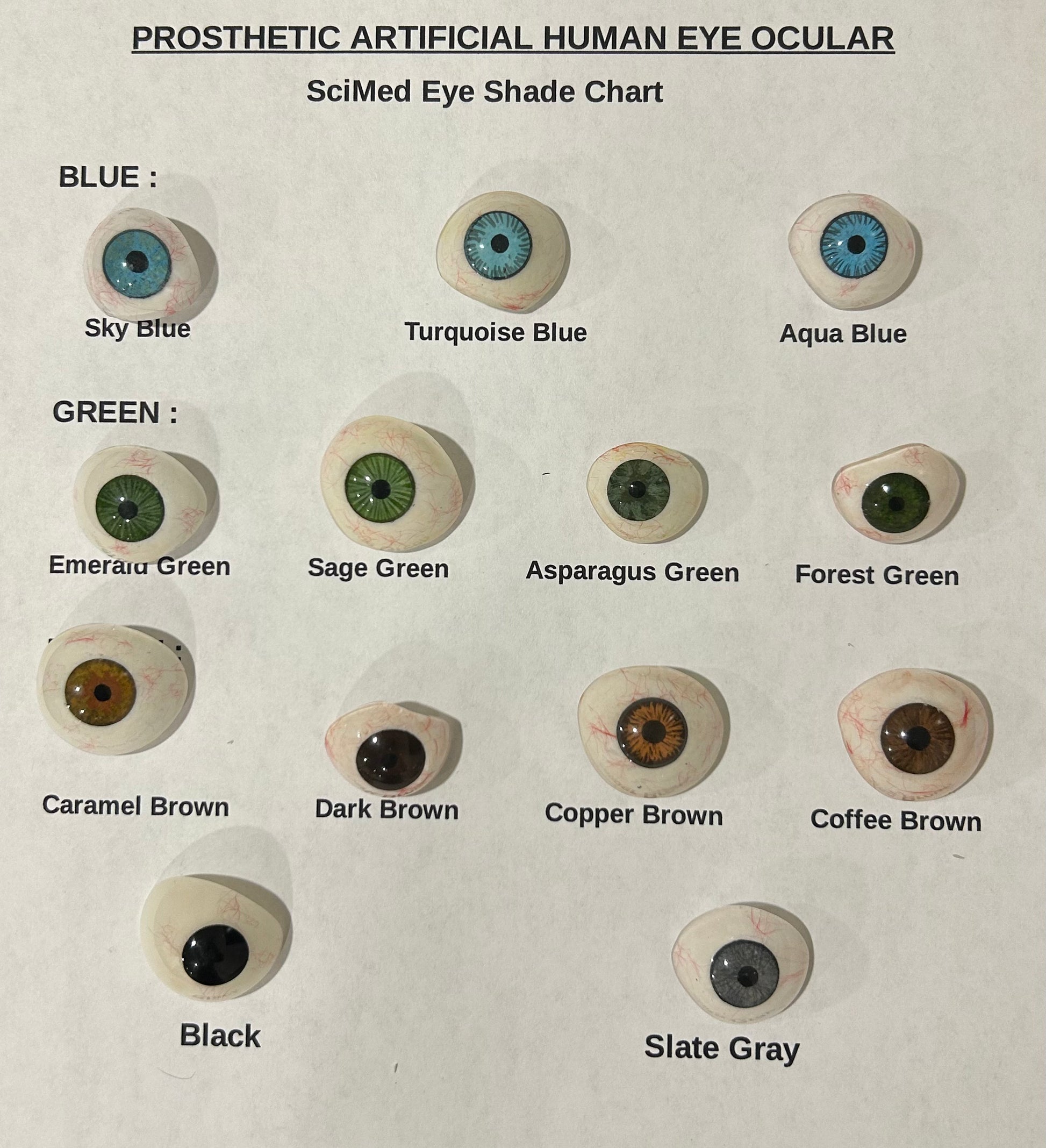 Ocular prosthetic eye — medical-grade acrylic, 13 colors, 6 sizes (18–28mm) | SciMed