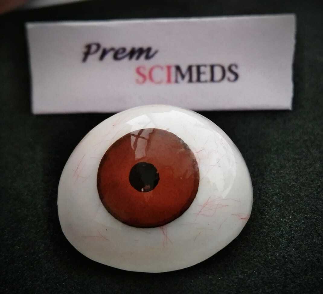 Ocular prosthetic eye — medical-grade acrylic, 13 colors, 6 sizes (18–28mm) | SciMed