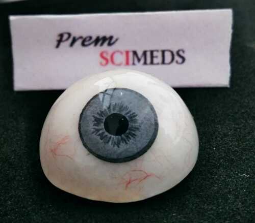 Ocular prosthetic eye — medical-grade acrylic, 13 colors, 6 sizes (18–28mm) | SciMed