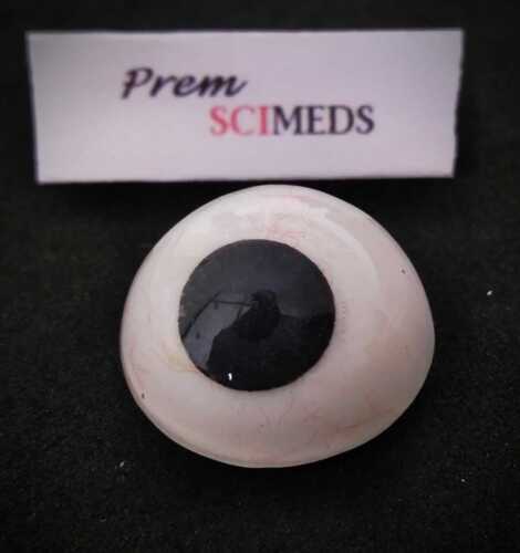 Ocular prosthetic eye — medical-grade acrylic, 13 colors, 6 sizes (18–28mm) | SciMed