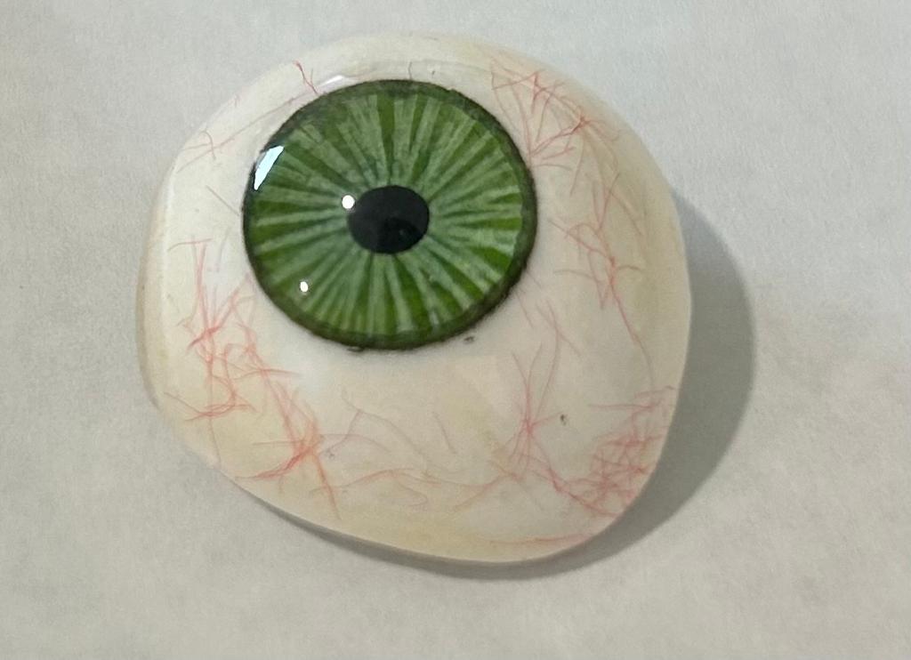 SciMed - Ocular Prostheses - Artificial Prosthetic Eye With Sterilized Case, 20mm, 22mm, 24mm, 26mm & 28mm sizes