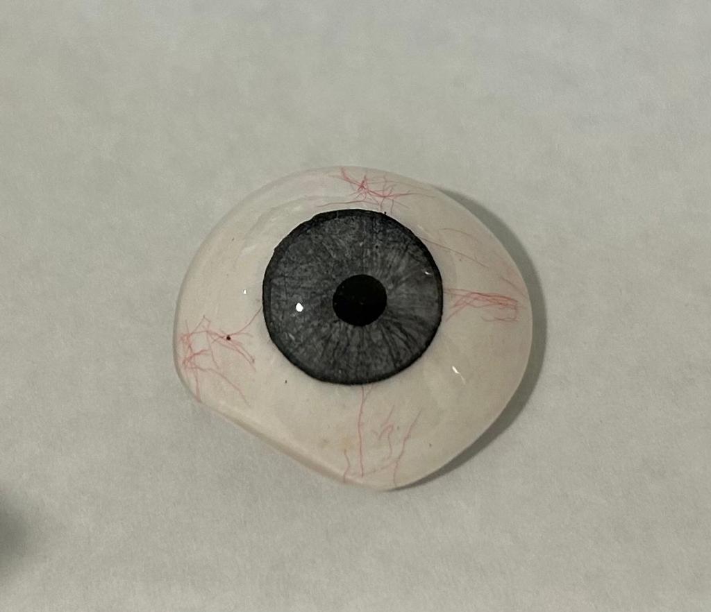 SciMed - Ocular Prostheses - Artificial Prosthetic Eye With Sterilized Case, 20mm, 22mm, 24mm, 26mm & 28mm sizes