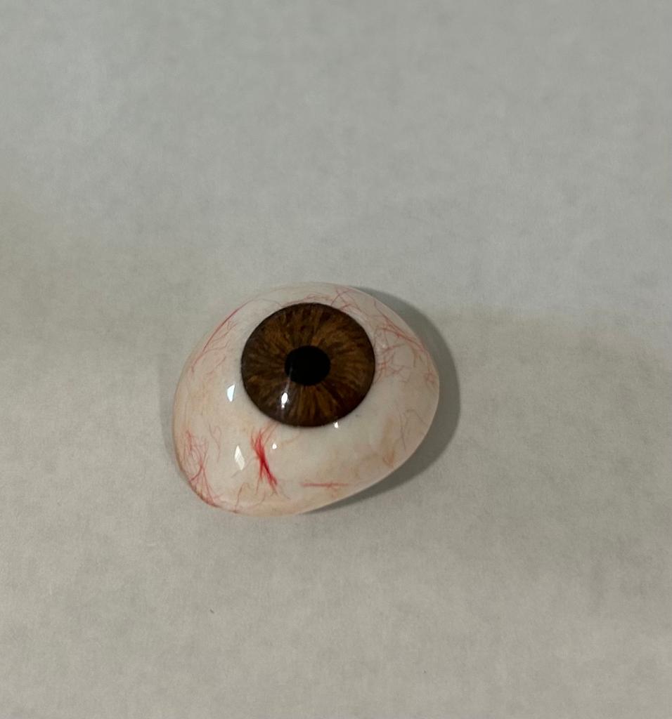 SciMed - Ocular Prostheses - Artificial Prosthetic Eye With Sterilized Case, 20mm, 22mm, 24mm, 26mm & 28mm sizes