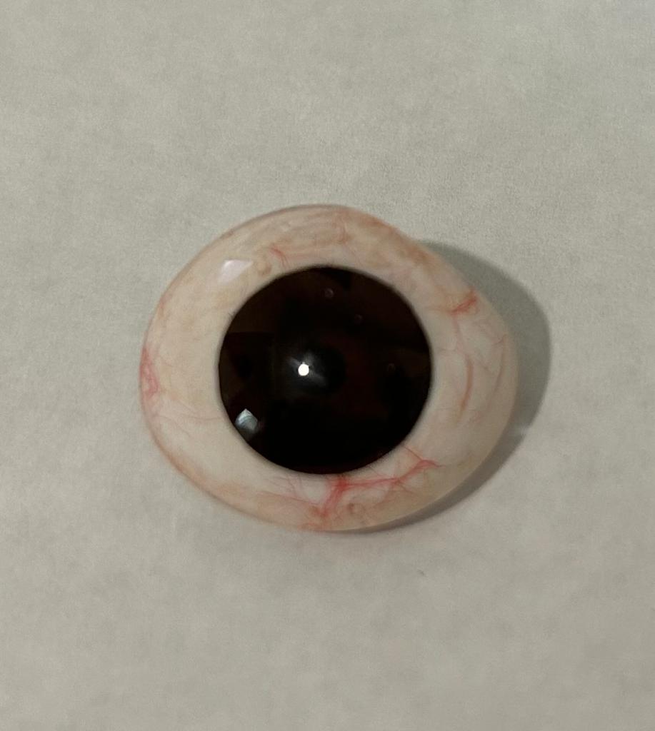 SciMed - Ocular Prostheses - Artificial Prosthetic Eye With Sterilized Case, 20mm, 22mm, 24mm, 26mm & 28mm sizes