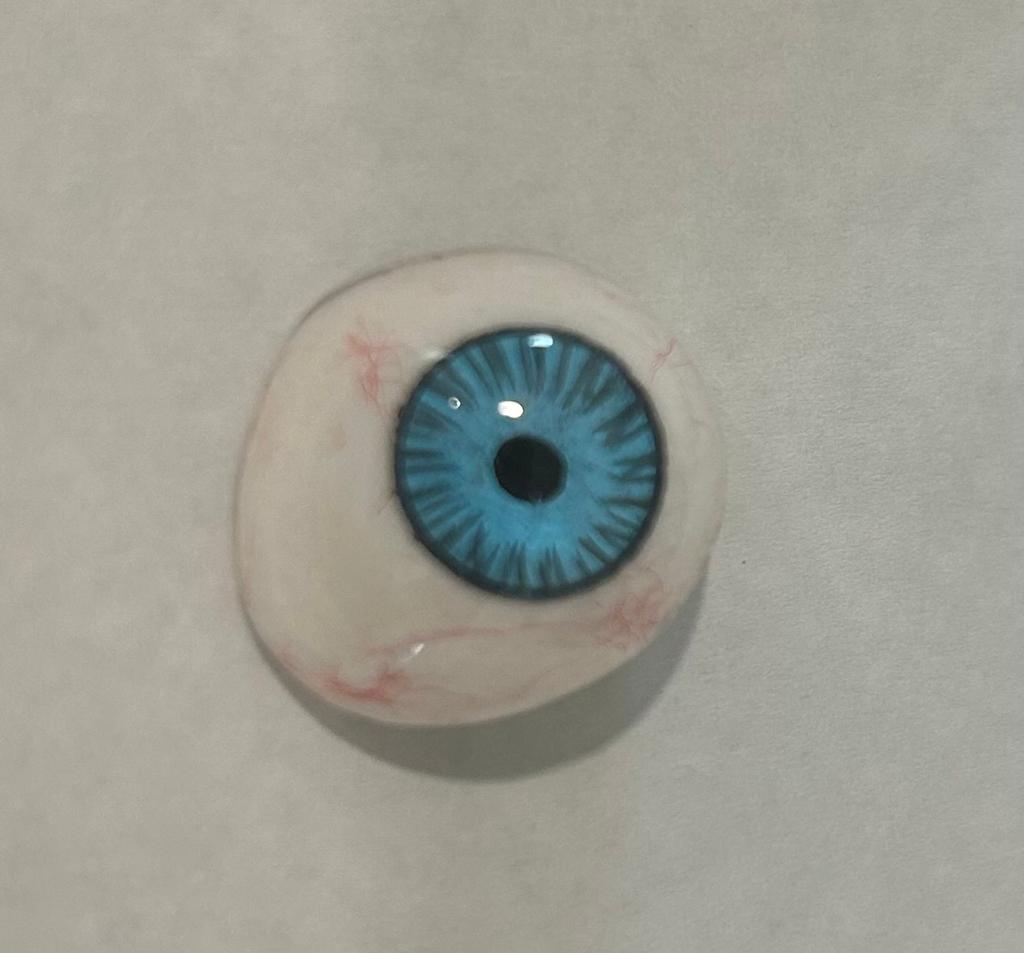SciMed - Ocular Prostheses - Artificial Prosthetic Eye With Sterilized Case, 20mm, 22mm, 24mm, 26mm & 28mm sizes