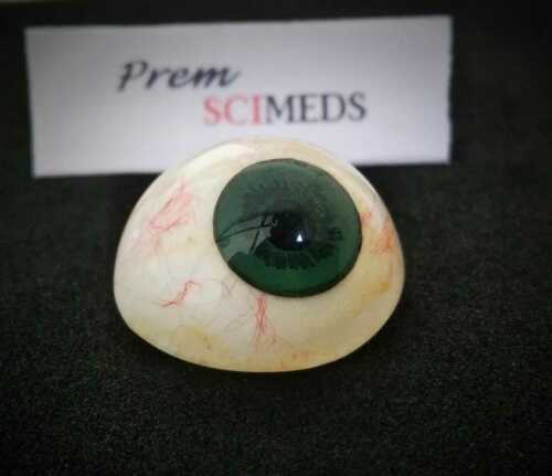 Ocular prosthetic eye — medical-grade acrylic, 13 colors, 6 sizes (18–28mm) | SciMed