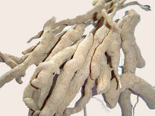 Serpentina Snake Root Sarpagandha Rauwolfia Chandrabhaga Powder And Roots Ayurvedic Herb Original