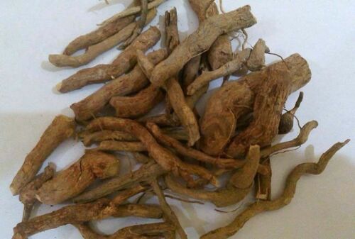 Serpentina Snake Root Sarpagandha Rauwolfia Chandrabhaga Powder And Roots Ayurvedic Herb Original